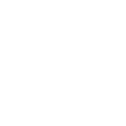 Nine of Nothing Logo